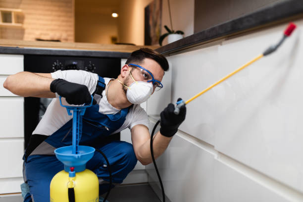 Best Exterminator Services  in Andrews, IN