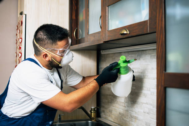 Best Termite Control Services  in Andrews, IN