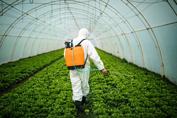 Best Best Pest Control Companies  in Andrews, IN