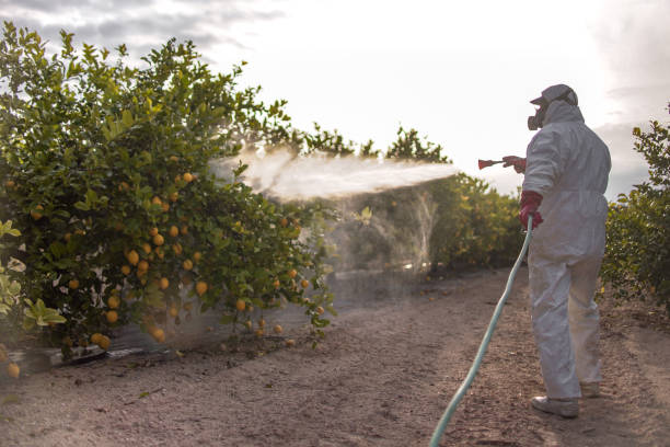 Best Commercial Pest Control Services  in Andrews, IN