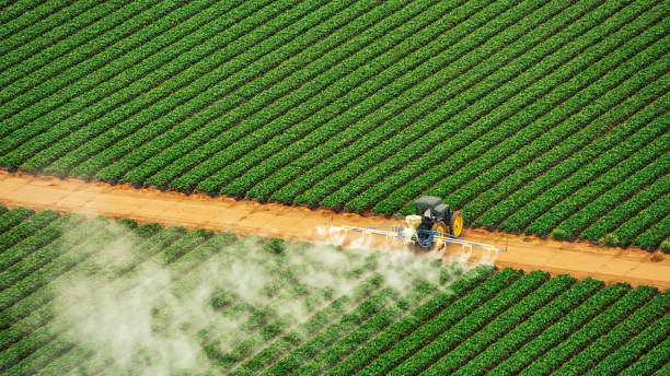 Best Ant Control Services  in Andrews, IN