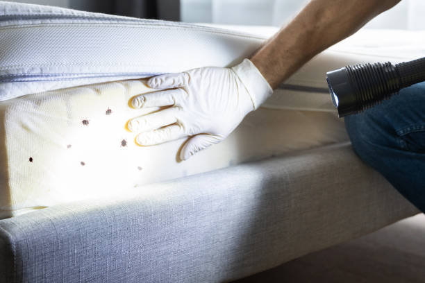 Best Bed Bug Extermination  in Andrews, IN