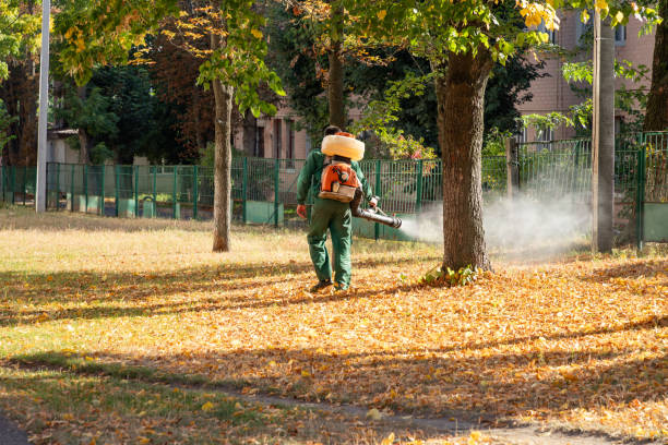 Best Residential Pest Control  in Andrews, IN