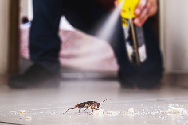 Best Local Pest Control Services  in Andrews, IN