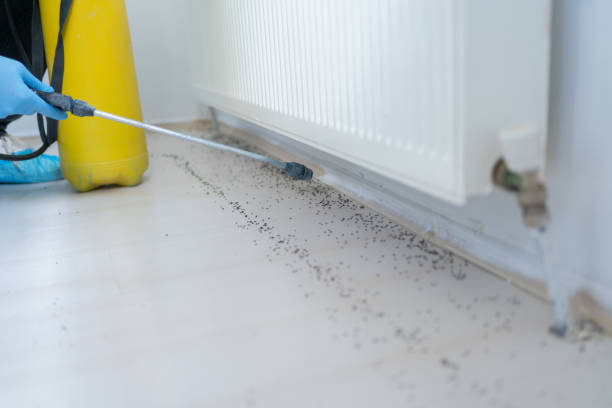 Best Best Pest Control Near Me  in Andrews, IN
