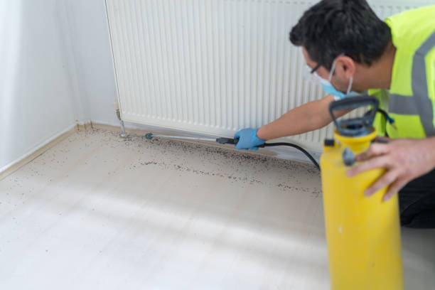 Reliable Andrews, IN Pest Control Solutions